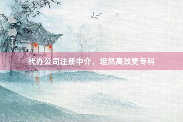 代办公司注册中介，坦然高效更专科